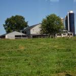 2017OTRA-1_375 (August 24, 2017)